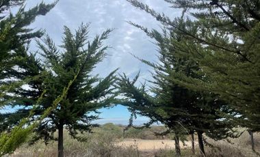 Parcela en venta en LITUECHE