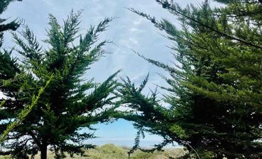 Parcela en venta en LITUECHE