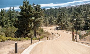 Parcela en venta en LITUECHE