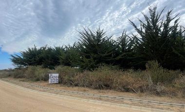 Parcela en venta en LITUECHE