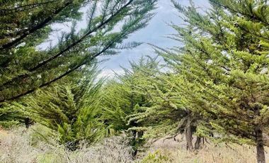 Parcela en venta en LITUECHE