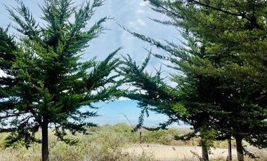 Parcela en venta en LITUECHE