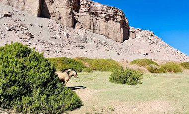 Parcela en venta en CALAMA