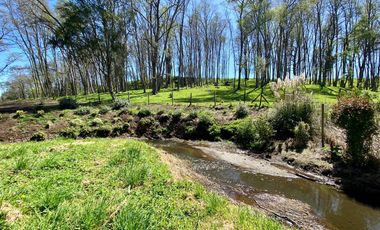 Parcela en venta en OSORNO