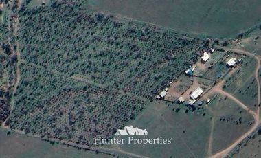 Parcela en Venta en Huechun