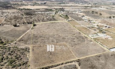 4 HECTAREAS EN VALLE DE GUADALUPE