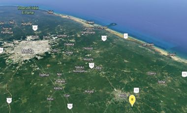 VENTA TERRENO 1 HA CARRET MERIDA-TELCHAC PTO, MPIO MOTUL, YUCATÁN