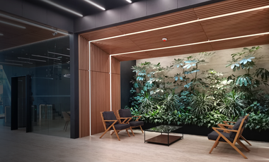 Local Comercial en Renta de 152 m² sobre Insurgentes Sur
