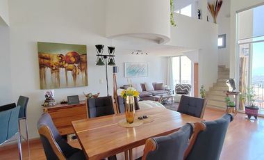 Renta Departamento Penthouse Amueblado Milenio