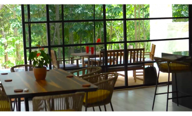 Casa Dríada - Exclusiva Propiedad Autosustentable en Lote de 2,000 m²