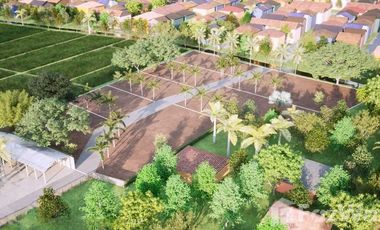 Land for sale in San Na Meng, Chiang Mai