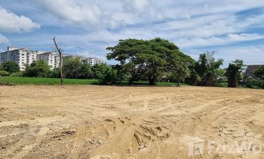 Land for sale in San Na Meng, Chiang Mai