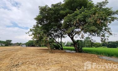Land for sale in San Na Meng, Chiang Mai