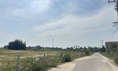 Land for sale in Bang Kao, Phetchaburi