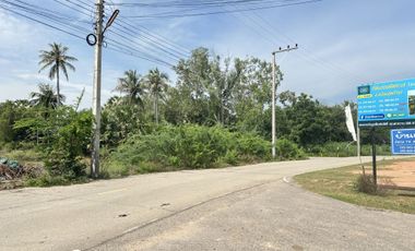 Land for sale in Bang Kao, Phetchaburi