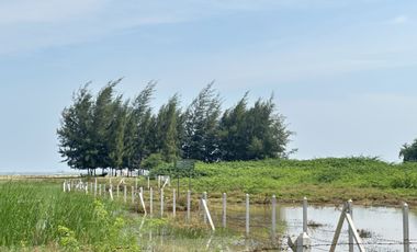 Land for sale in Bang Kao, Phetchaburi