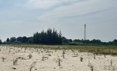 Land for sale in Bang Kao, Phetchaburi