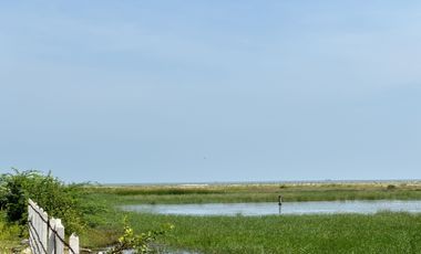 Land for sale in Bang Kao, Phetchaburi