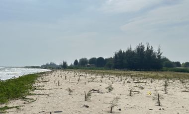 Land for sale in Bang Kao, Phetchaburi