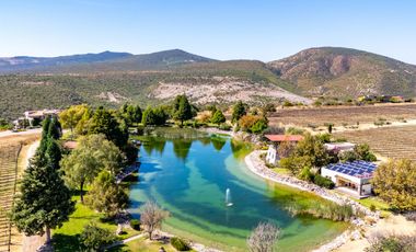 Casa de Lujo con Cava, Jacuzzi, Sauna y Terraza: Viñedos San Miguel