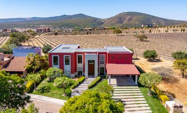 Casa de Lujo con Cava, Jacuzzi, Sauna y Terraza: Viñedos San Miguel