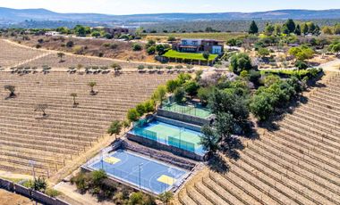 Casa de Lujo con Cava, Jacuzzi, Sauna y Terraza: Viñedos San Miguel