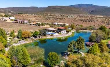 Casa de Lujo con Cava, Jacuzzi, Sauna y Terraza: Viñedos San Miguel