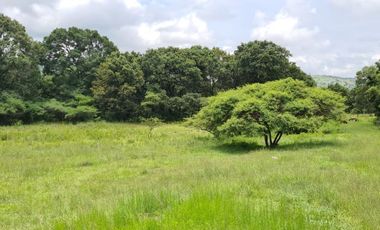 Venta de Terreno Haras del Bosque Precio de Remate