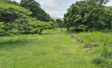 Venta de Terreno Haras del Bosque Precio de Remate
