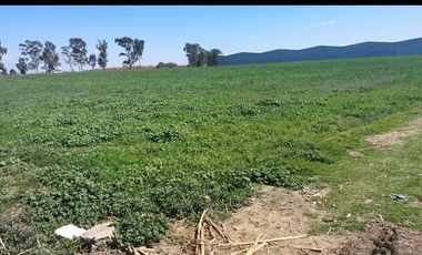 Se vende Terreno cerca de Chipilo  en San Gregorio Atzompa