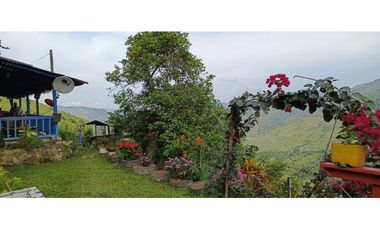 Finca en venta en Cisneros Antioquia