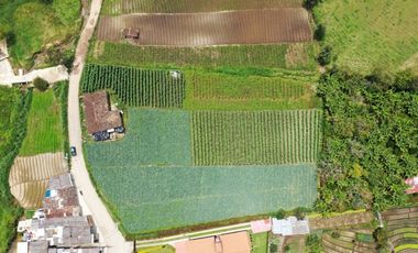 LOTE EN EL SANTUARIO, VEREDA EL SALTO