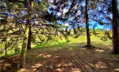 Venta Lote 100% Plano Parcelacion Via San Antonio La Ceja