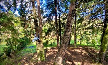 Venta Lote 100% Plano Parcelacion Via San Antonio La Ceja