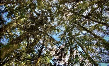 Venta Lote 100% Plano Parcelacion Via San Antonio La Ceja