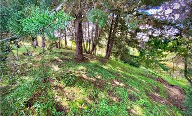 Venta Lote 100% Plano Parcelacion Via San Antonio La Ceja