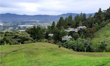 Venta o Arriendo de Casa Campestre en el Retiro