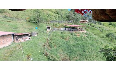 VENDO FINCA EN AMAGA ANTIOQUIA