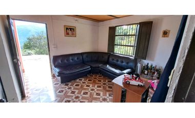 VENDO FINCA EN AMAGA ANTIOQUIA