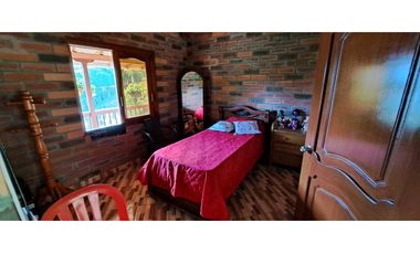 VENDO FINCA EN AMAGA ANTIOQUIA
