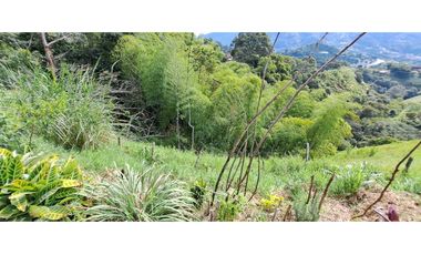 VENDO FINCA EN AMAGA ANTIOQUIA