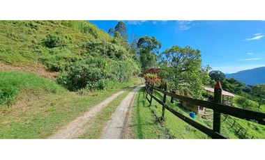 VENDO FINCA EN AMAGA ANTIOQUIA
