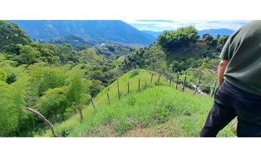 VENDO FINCA EN AMAGA ANTIOQUIA