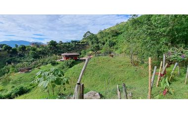 VENDO FINCA EN AMAGA ANTIOQUIA