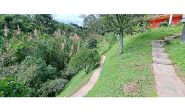 VENDO FINCA EN AMAGA ANTIOQUIA