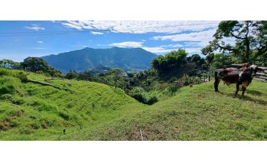 VENDO FINCA EN AMAGA ANTIOQUIA
