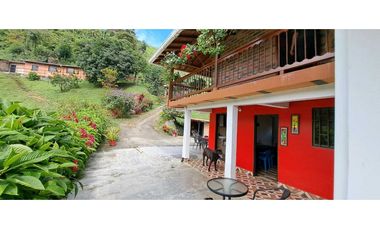 VENDO FINCA EN AMAGA ANTIOQUIA