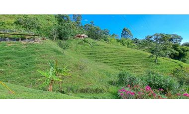 VENDO FINCA EN AMAGA ANTIOQUIA