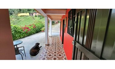 VENDO FINCA EN AMAGA ANTIOQUIA