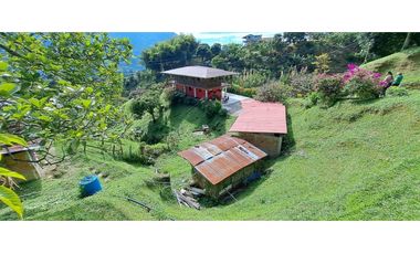 VENDO FINCA EN AMAGA ANTIOQUIA